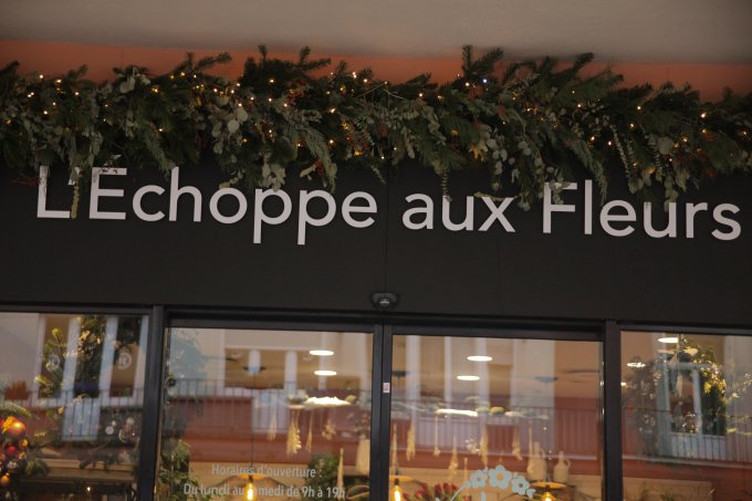 La magie de Noël est en place à Saint-Dié-des-Vosges ! ✨